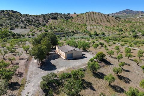 Landejendom i Velez-Rubio, Almeria, Velez-Rubio - € 170.000 | Ref: 3054-CH - foto 8